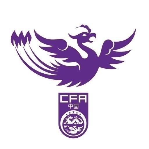  津媒：U17女足明日起兩戰(zhàn)日本定位整體實力，默契度有提升空間